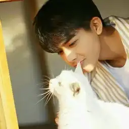 网红男生头像

