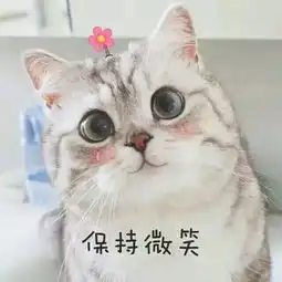 头像吸猫有害身体健康
