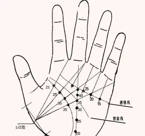 手中有这几点特征,无论男女都是晚婚,不然婚姻难以幸福
