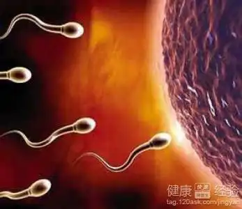 对精子的几个误解你了解吗
