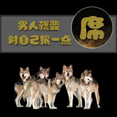 百家姓氏狼头像,男人就要对自己狠一点图片
