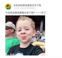 花儿与少年有毒是什么梗井柏然倪妮分手与花儿与少年有什么关系
