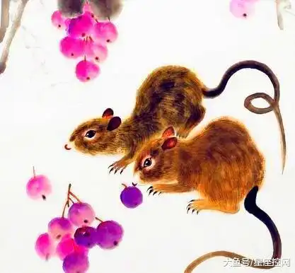 夫妻感情长长久久的3大生肖配对,不变心不出轨,至死不渝
