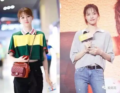 中年男人最爱的polo衫,今年刘雯秦岚等明星人手一件
