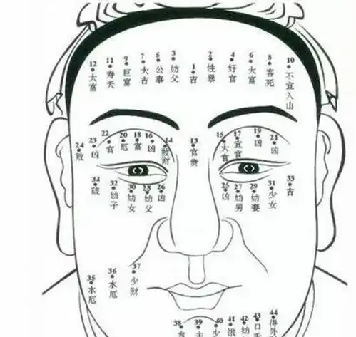 猴子面相男人运势如何猴子脸的人命运如何
