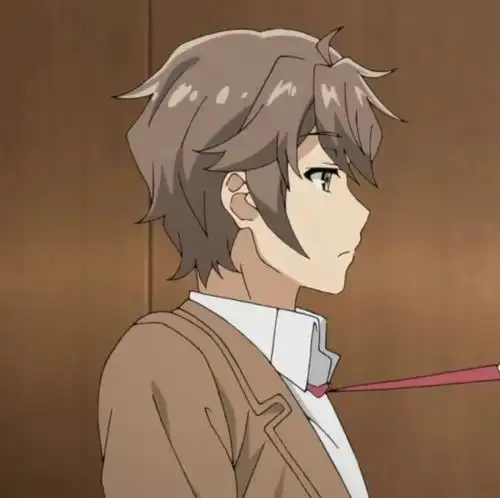 11.23梓川咲太x樱岛麻衣情头壁纸青春猪头少年系列
