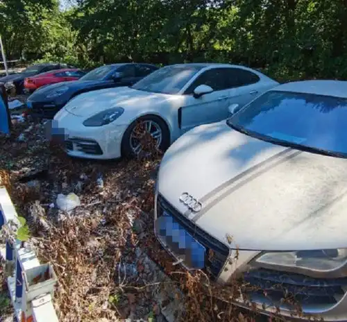 小树林里遍地豪车,挂着车牌也没人捡当地人说出实情
