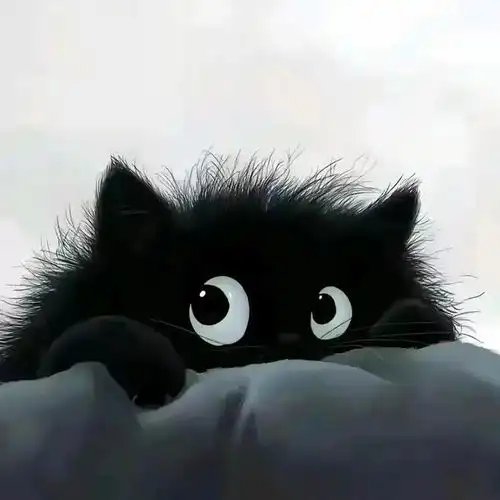 可爱的小黑猫卡通头像分享
