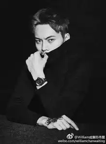 陈伟霆成女明星收割机,搭档完刘诗诗秒换白百何
