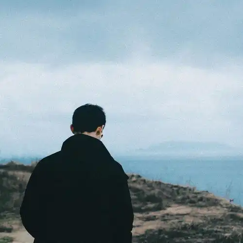 男人好难cover沙宝亮黄渤
