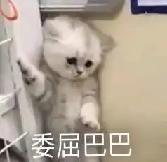这才是我们年轻人想要看到的晚会
