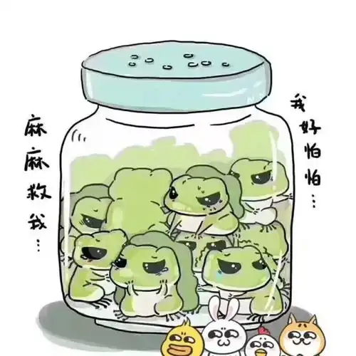 代表们的蛙你猜怎么才会回家
