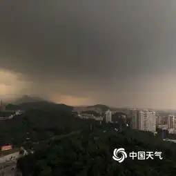 冰雹12级大风广东增城一片狼藉图片中国天气网
