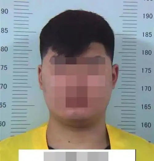 男子打车顺走手提包民警调取行车记录仪后其供认不讳凤凰网湖北凤凰网
