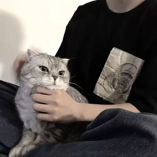 氛围感满满的抱猫男头
