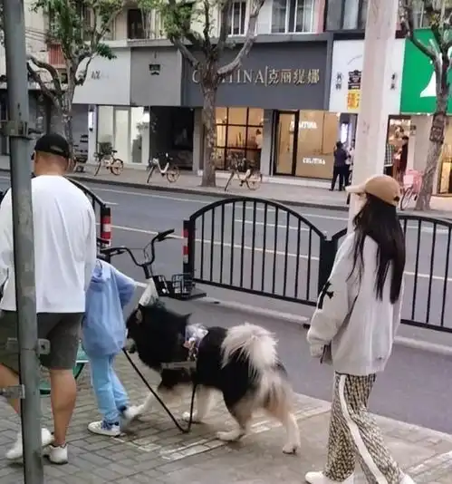 黄晓明杨颖一家三口罕见合体,baby打扮很少女,男方偷偷喵前妻
