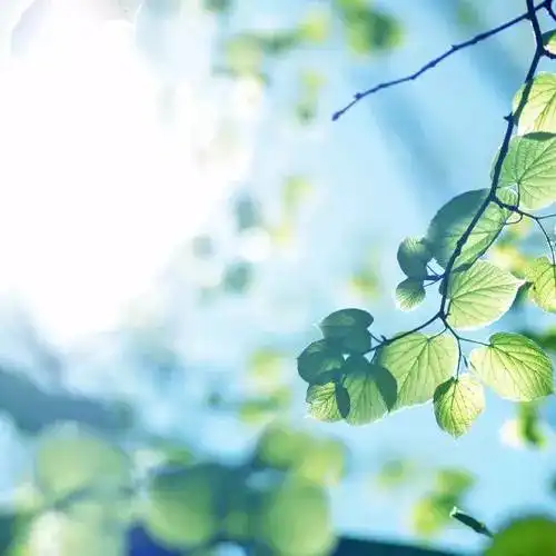 你不能预见明天,但可以珍惜今天心语0801
