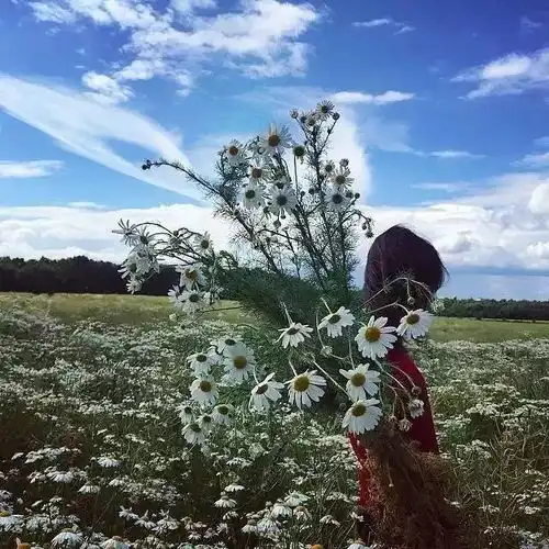 想开一家花店,抬头就能看见幸福
