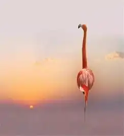 世上最幸福的地方,原来是......
