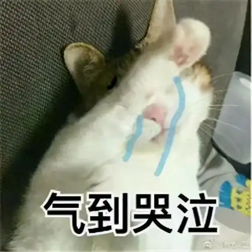 心酸震惊硕士妈妈为贴补家用,缝一条拉链1分钱

