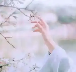 染尘i我欲醉眠花下,醒来旧事皆非