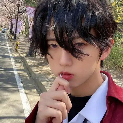 男生头像这里风遇山止,船到岸停
