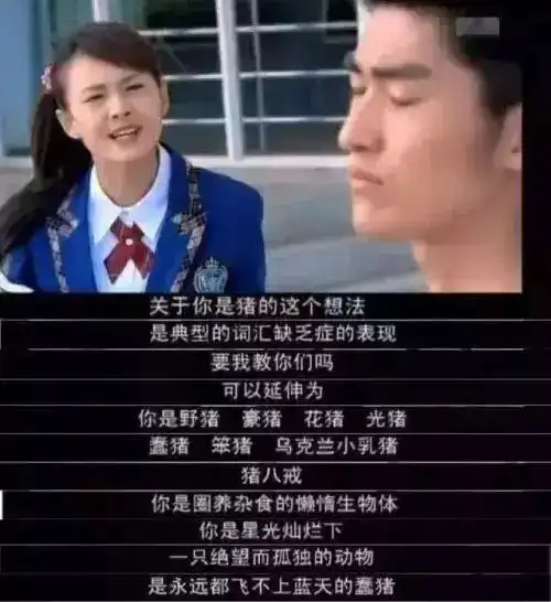 猪不只是猪
