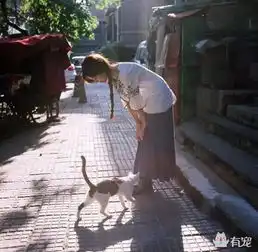 遇到一个养猫的女生,你一定要好好珍惜,因为