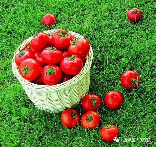 吃番茄就是要细嚼慢咽
