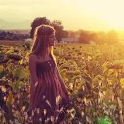 向日葵情侣头像
