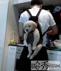 如何走进女人的内心世界揭秘女人内心世界的十大真相
