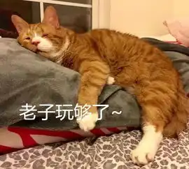 猫中渣男你这么浪,良心不会痛吗