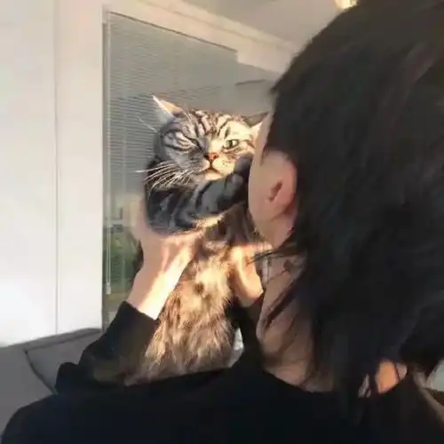 好看的无水印动漫真人头像

