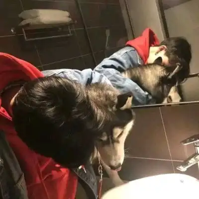 超火渣男狗男生头像,这有孤独和烈酒,你要不要来一口
