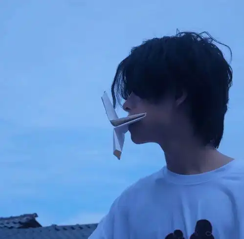 宝藏稀有男头
