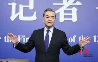 王毅外长特刊两会图迹
