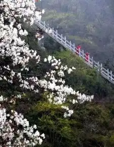 河南超级福利3月1号起,这些景区女性免票,男性半价
