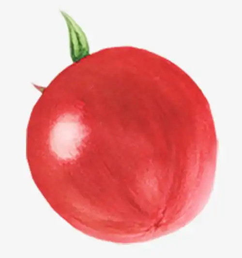 西红柿番茄手绘蔬菜图手绘彩绘水彩插画高清素材免抠设计图片免费下载页面网页平面电商创意素材png素材素材

