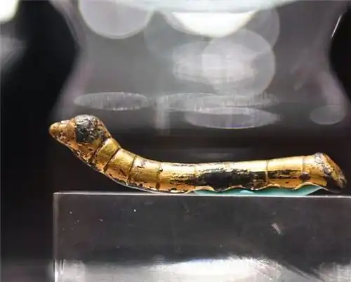 陕西老农摸鱼捡到一条金蚕,拒绝2万收购,上交祖国后成国宝
