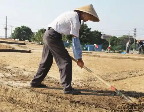 不忘挖土人致敬考古工人

