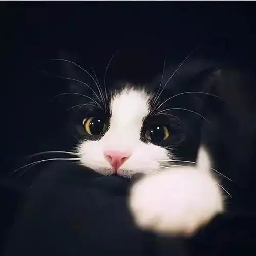 男女个性头像,昨天,今天,明天
