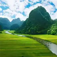 好运平安花朵风景头像微信头像图片大全