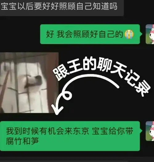 王思聪换头像你爹来了疑似回应私生子传闻
