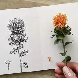 100张手绘精品素材

