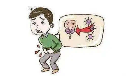 患前列腺癌的男人越来越多,这些习惯,尽早改掉
