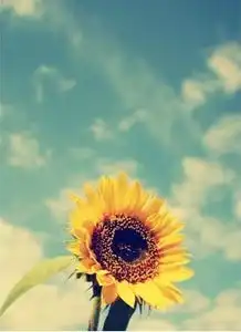 和这个匹配的情侣头像
