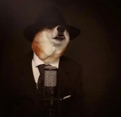 知乎大神有没有跟这个类似的柴犬穿衣服的头像
