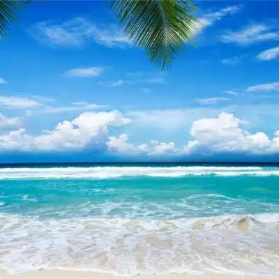 通宝棋牌游戏首页
