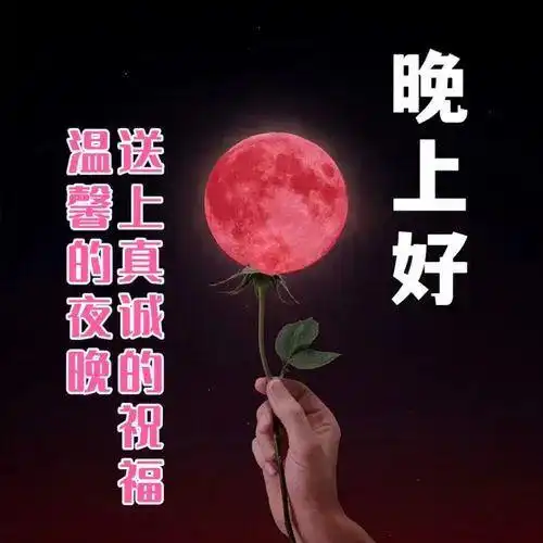 晚上好图片大全,晚安语录正能量祝福语,晚上好温馨问候祝福语
