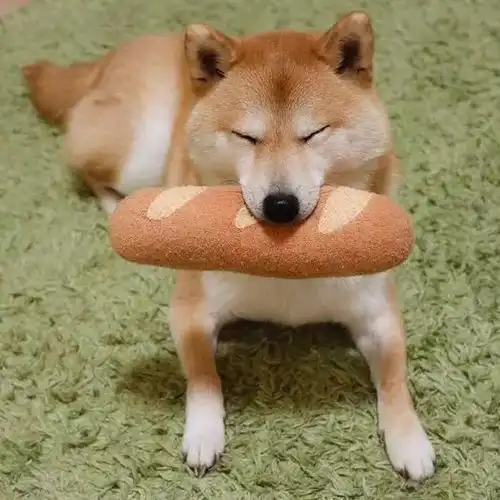 头像如果这一波头像没有萌到你,算我输
